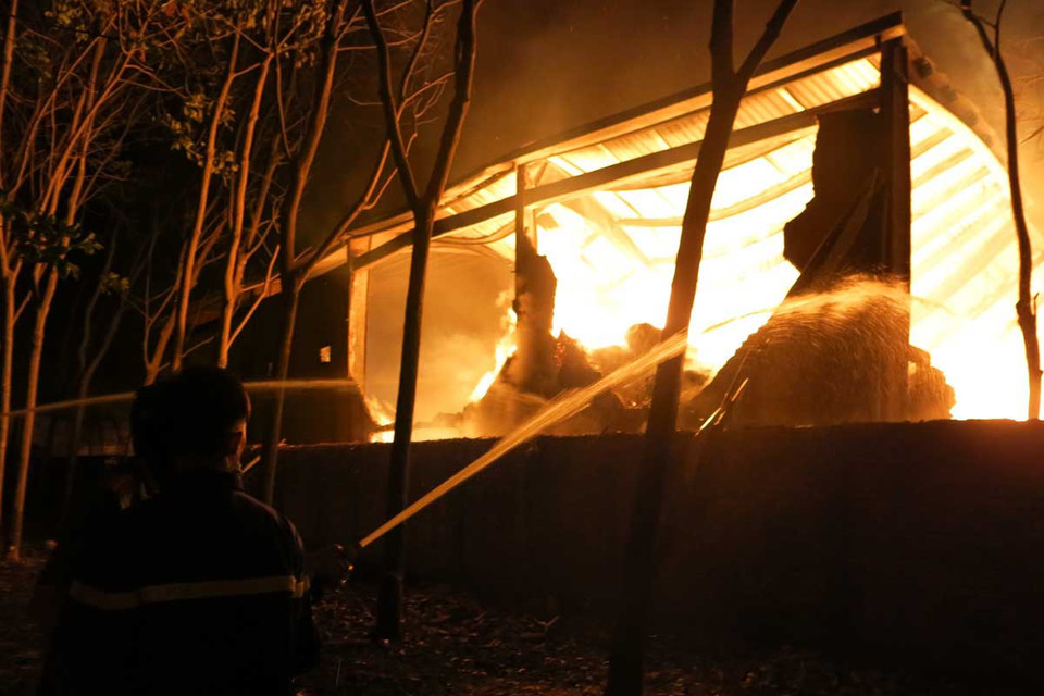 nhưng chưa thể khống chế được đám cháy vì hàng trăm tấn bông vải cháy lớn, rất khó dập. (Nguồn: TTXVN)