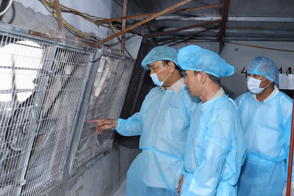 Thủ tướng Nguyễn Xuân Phúc đi kiểm tra tình hình phòng, chống dịch tả lợn châu Phi tại Hợp tác xã nông nghiệp hữu cơ Tiên Dương. (Ảnh: Thống Nhất/TTXVN)