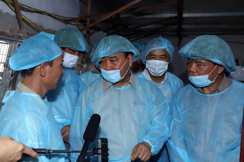 Thủ tướng Nguyễn Xuân Phúc đi kiểm tra tình hình phòng, chống dịch tả lợn châu Phi tại Hợp tác xã nông nghiệp hữu cơ Tiên Dương. (Ảnh: Thống Nhất/TTXVN)