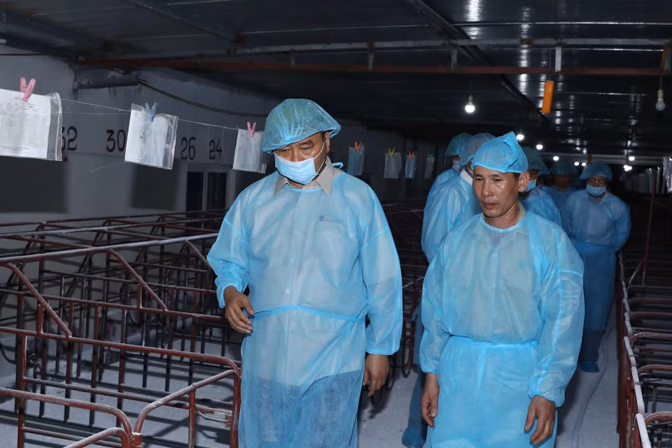 Thủ tướng Nguyễn Xuân Phúc đi kiểm tra tình hình phòng, chống dịch tả lợn châu Phi tại Hợp tác xã nông nghiệp hữu cơ Tiên Dương. (Ảnh: Thống Nhất/TTXVN)