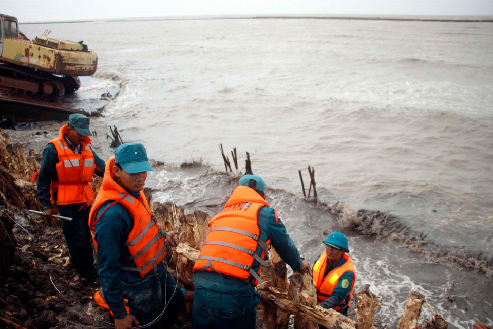 Tỉnh Cà Mau đang tích cực huy động mọi nguồn lực nhằm bảo vệ đoạn đê xung yếu trước nguy cơ bị vỡ. (Ảnh: Huỳnh Thế Anh/TTXVN)