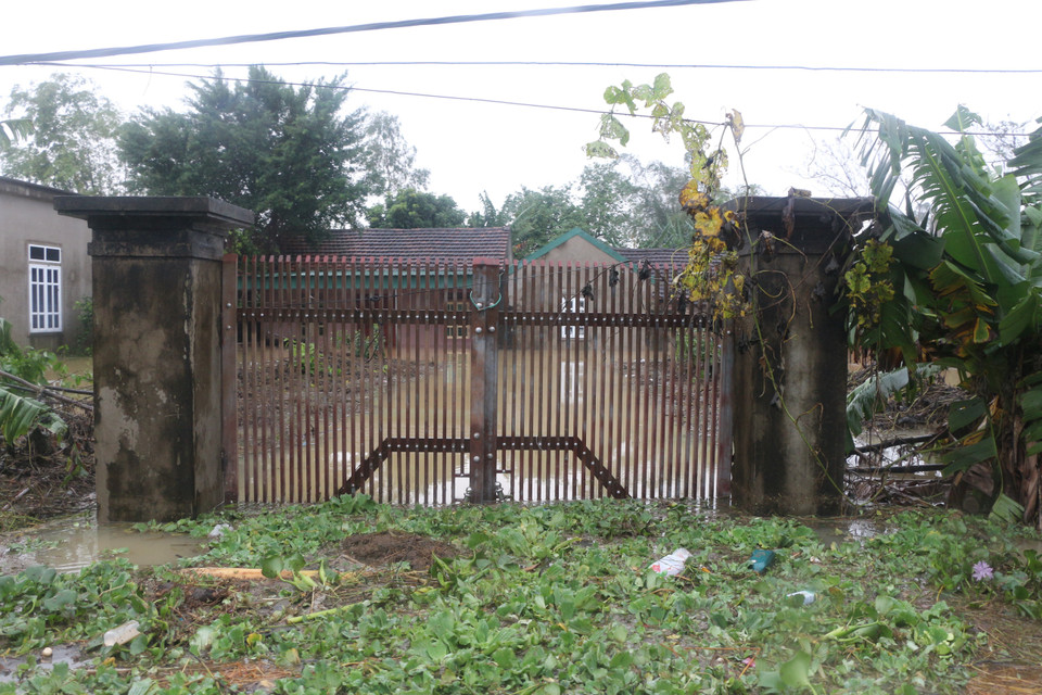 Nước lũ dâng cao kèm theo bèo tây bám dày đặc khiến cho việc di chuyển bằng thuyền, ca nô của dân cũng như đoàn cứu trợ gặp nhiều khó khăn ở xã Hưng Yên Bắc, huyện Hưng Nguyên. (Ảnh: Bích Huệ/TTXVN)