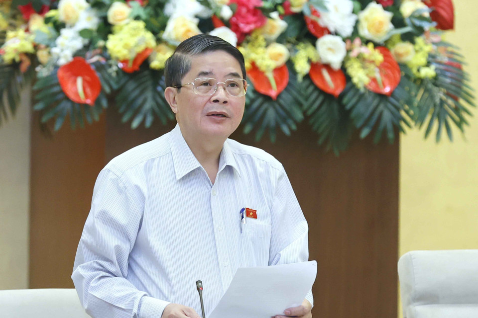 Phó Chủ tịch Quốc hội Nguyễn Đức Hải điều hành nội dung phiên họp. (Ảnh: Doãn Tấn/TTXVN)