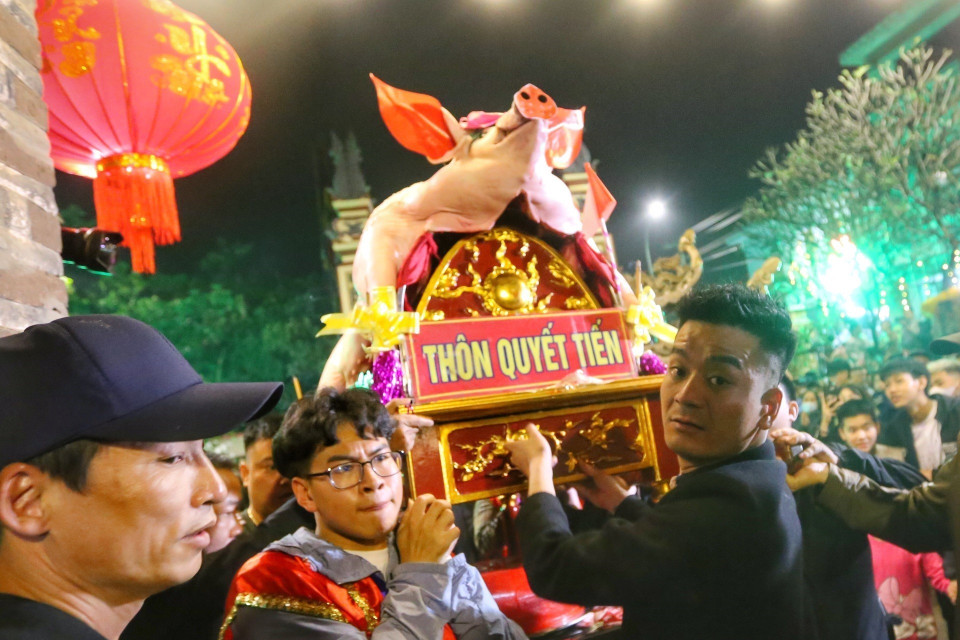 Năm Quý Mão 2023, 17 ông lợn có trọng lượng hàng trăm kg được các thôn, xóm trong làng rước ra đình làng La Phù phục vụ lễ hội. (Ảnh: Tuấn Đức/TTXVN)