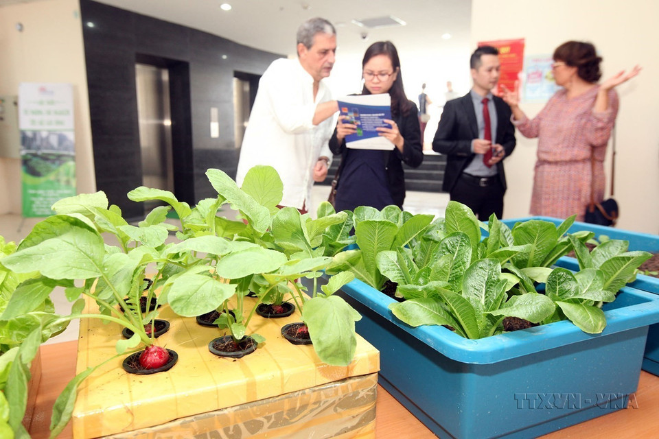 Pháp luôn coi giáo dục-đào tạo là mục tiêu ưu tiên trong hoạt động hợp tác tại Việt Nam, tập trung chủ yếu vào việc giảng dạy và phát triển tiếng Pháp, đào tạo nguồn nhân lực ở bậc đại học, sau đại học trong nhiều lĩnh vực, như quản lý kinh tế, ngân hàng, tài chính, luật, công nghệ mới… Ảnh: Nghiên cứu khoa học tại Phòng thí nghiệm của Trường Đại học Khoa học và Công nghệ Hà Nội (còn được gọi là Đại học Việt Pháp). (Ảnh: Anh Tuấn/TTXVN)