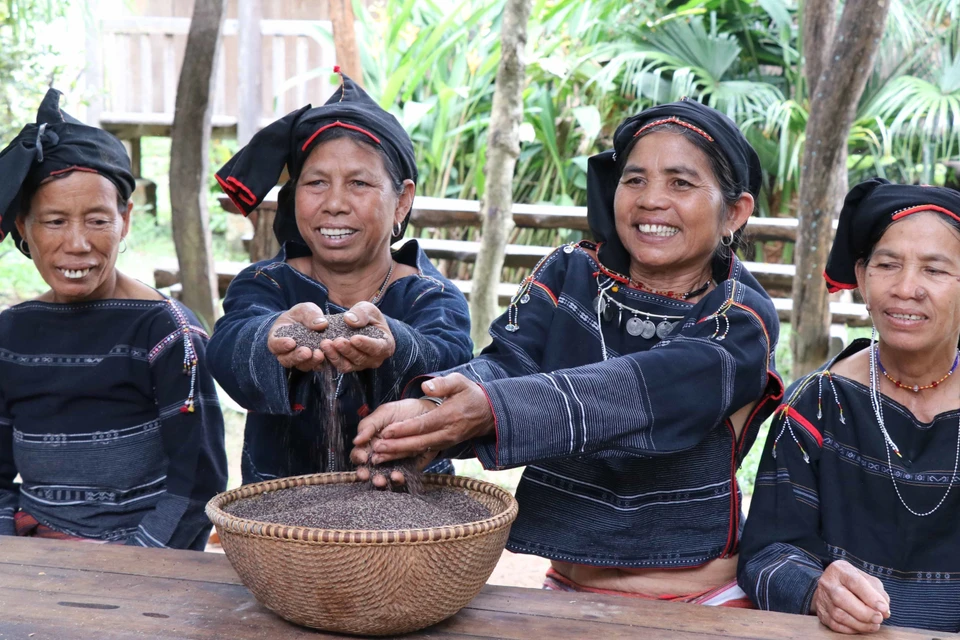 Có dịp đến với đại ngàn Tây Nguyên, ngoài nét văn hóa đặc trưng cuốn hút của vùng đất đỏ bazan, du khách còn có cơ hội được thưởng thức hương vị rượu cần - thức uống không thể thiếu trong tất cả các lễ hội của đồng bào dân tộc thiểu số nơi đây. (Ảnh: Hồng Điệp/TTXVN)