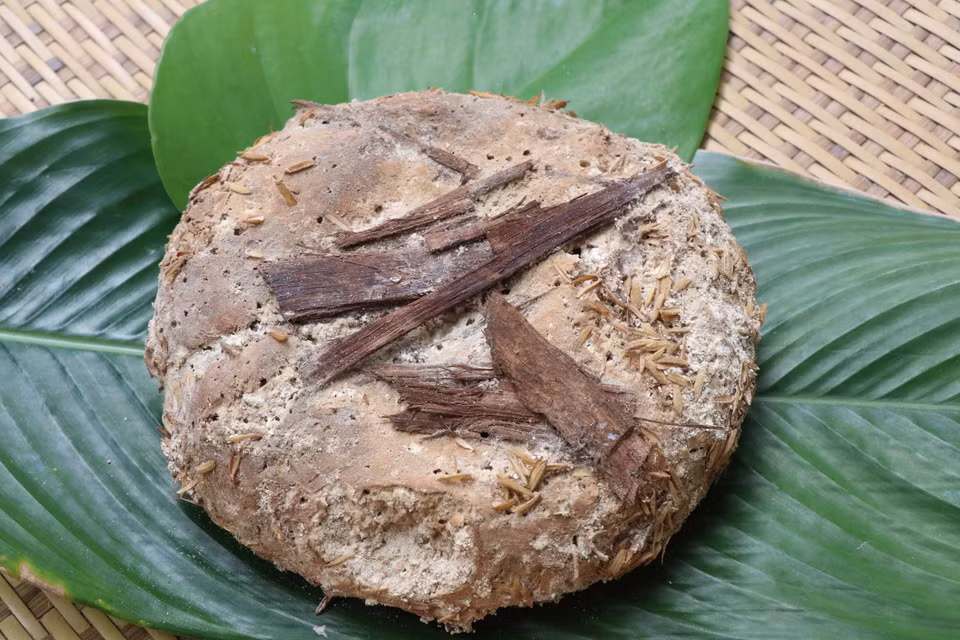 Bánh men lá, làm ra hương vị rất riêng của rượu cần Tây Nguyên. (Ảnh: Hồng Điệp/TTXVN)