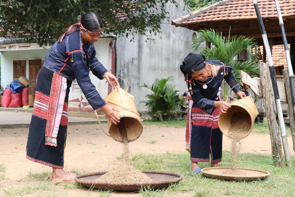 Hạt Cào được sàng sẩy, hong khô. (Ảnh: Hồng Điệp/TTXVN)