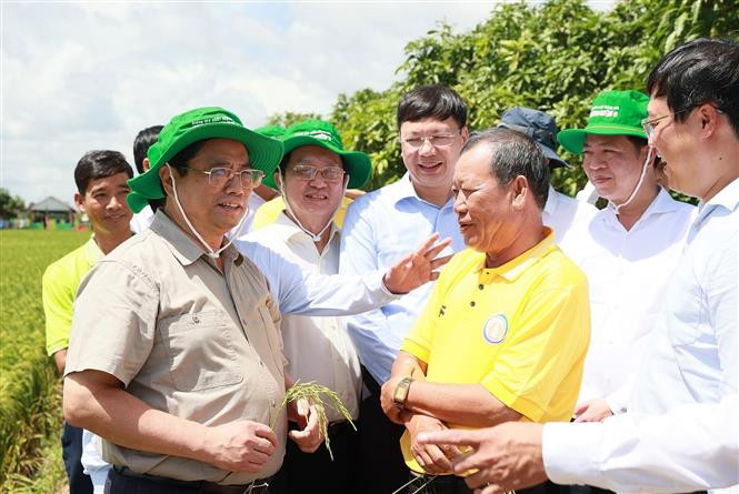 Thủ tướng Phạm Minh Chính trao đổi với nông dân sản xuất lúa của Hợp tác xã Dịch vụ Nông nghiệp Thắng Lợi. (Ảnh: Dương Giang/TTXVN)
