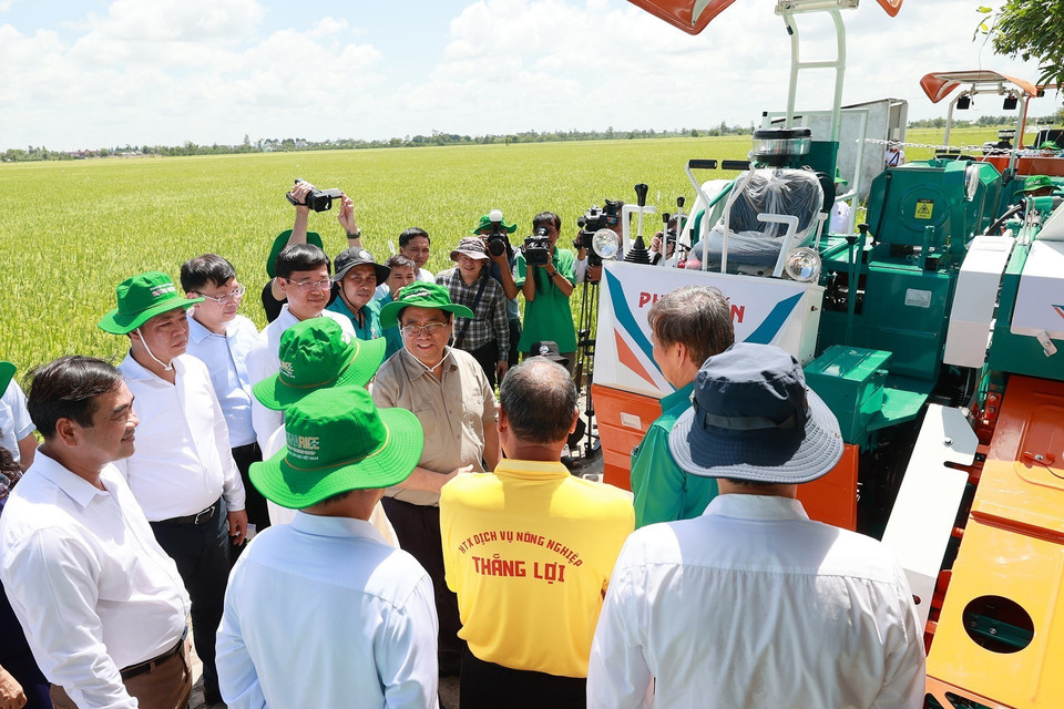 Thủ tướng Phạm Minh Chính khảo sát mô hình nông nghiệp công nghệ cao, sản xuất lúa của Hợp tác xã Dịch vụ Nông nghiệp Thắng Lợi. (Ảnh: Dương Giang/TTXVN)