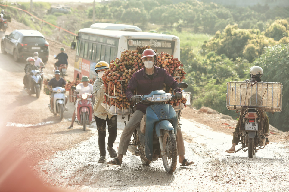 Người dân vất vả chở vải đi bán trong điều kiện quốc lộ 31 đang thi công. (Ảnh: Danh Lam/TTXVN)