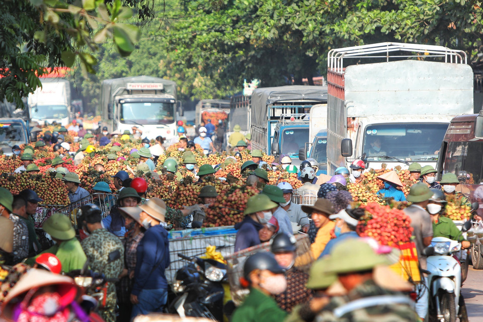 Ùn tắc đoạn xã Phượng Sơn, Lục Ngạn do phương tiện và người dân mua bán vải. (Ảnh: Danh Lam/TTXVN)