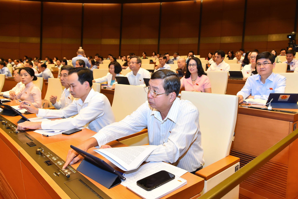 Đại biểu Quốc hội thành phố Đà Nẵng biểu quyết thông qua Nghị quyết. (Ảnh: Phương Hoa/TTXVN)