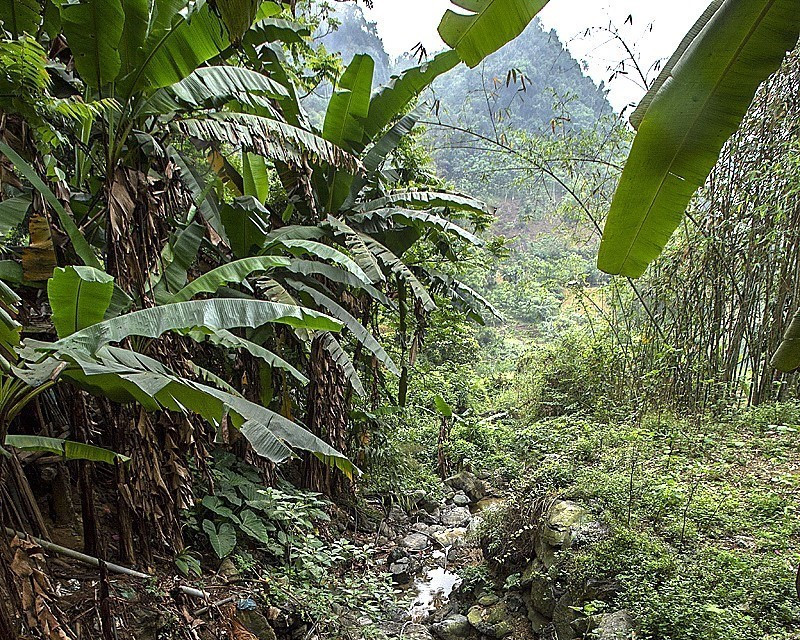 Suối Khé tại xã Vầy Nưa (Đà Bắc, Hòa Bình) đã khô dòng, trơ đáy. (Ảnh: Thanh Hải/TTXVN)