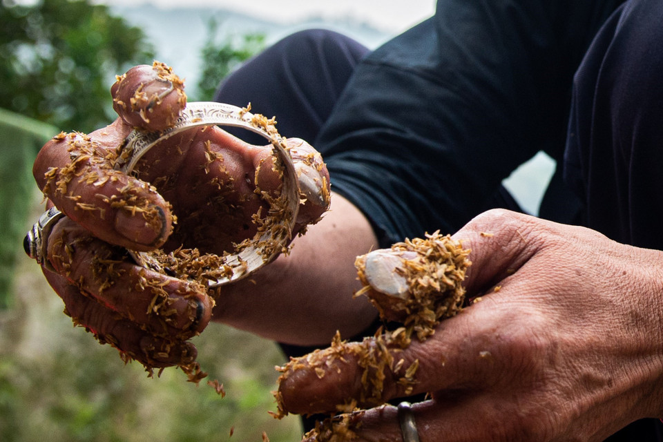 Khi đã tạo hình thành công, nghệ nhân dùng một số nước chuyên dụng và chấu để đánh sáng bạc. (Ảnh: Nam Thái/TTXVN)