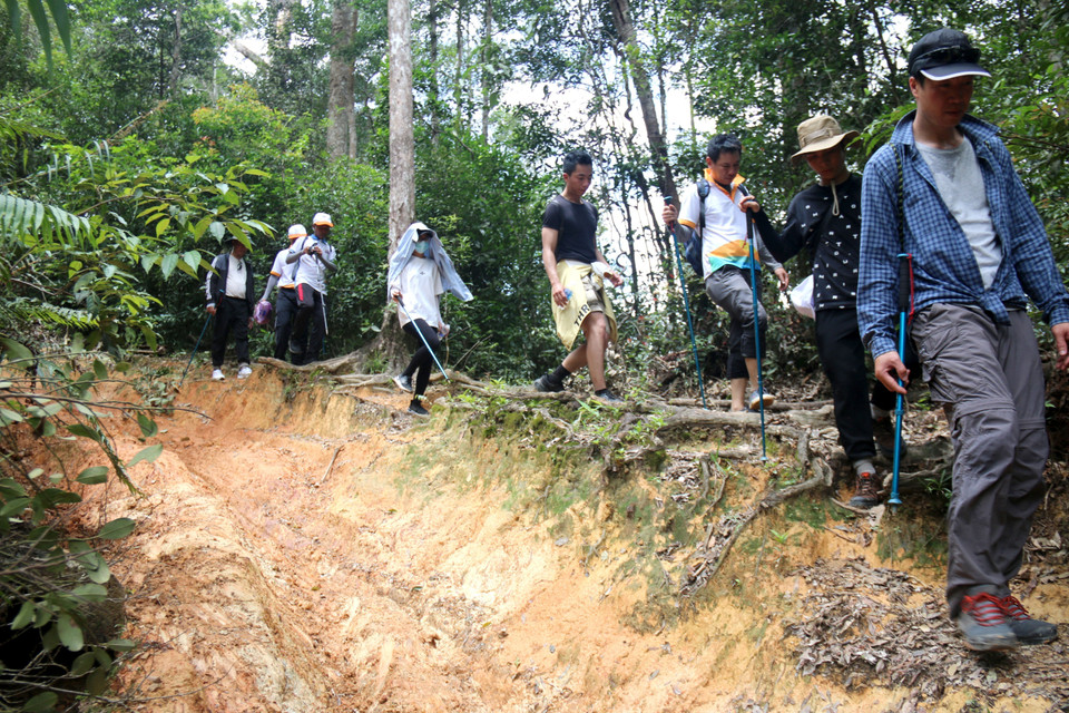 Cung đường trekking Tà Năng-Phan Dũng mạo hiểm với nhiều độ khó thu hút đông đảo giới trẻ khám phá. (Ảnh: Nguyễn Thanh/TTXVN)