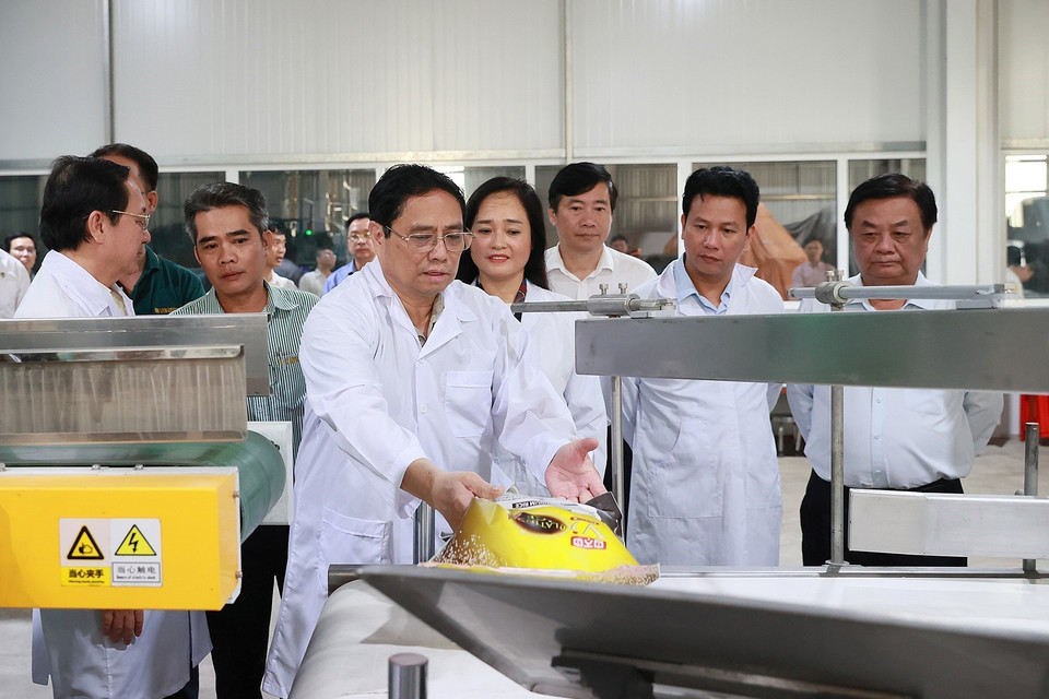 Thủ tướng Phạm Minh Chính thăm Nhà máy Chế biến Gạo của Công ty Trách nhiệm hữu hạn Lúa, Gạo Việt Nam. (Ảnh: Dương Giang/TTXVN)