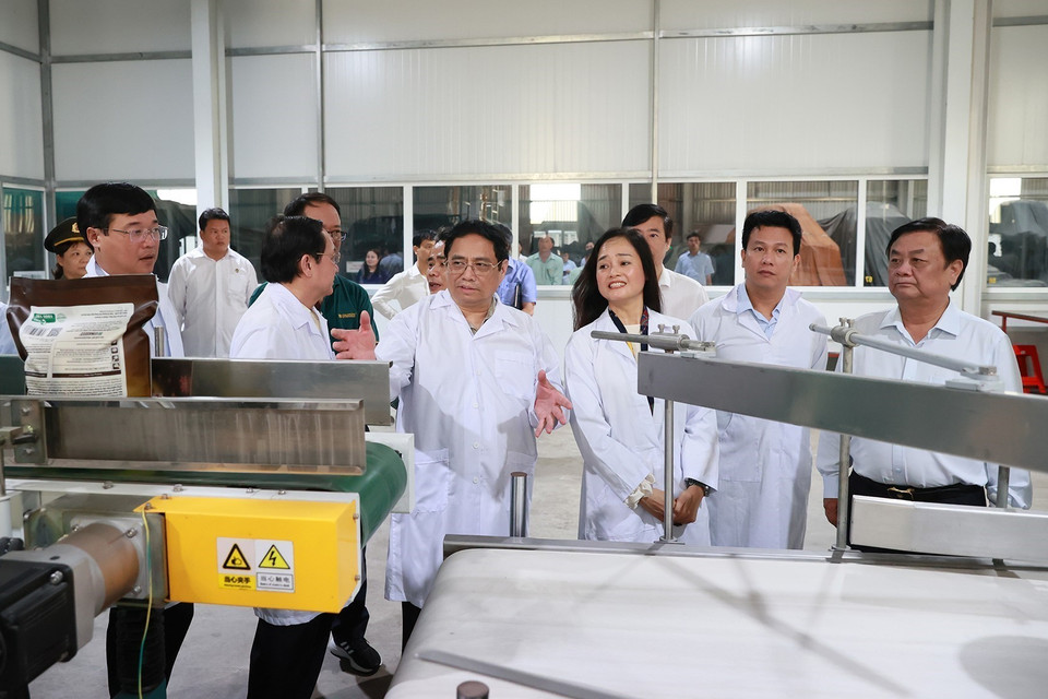 Thủ tướng Phạm Minh Chính thăm Nhà máy Chế biến Gạo của Công ty Trách nhiệm hữu hạn Lúa, Gạo Việt Nam. (Ảnh: Dương Giang/TTXVN)