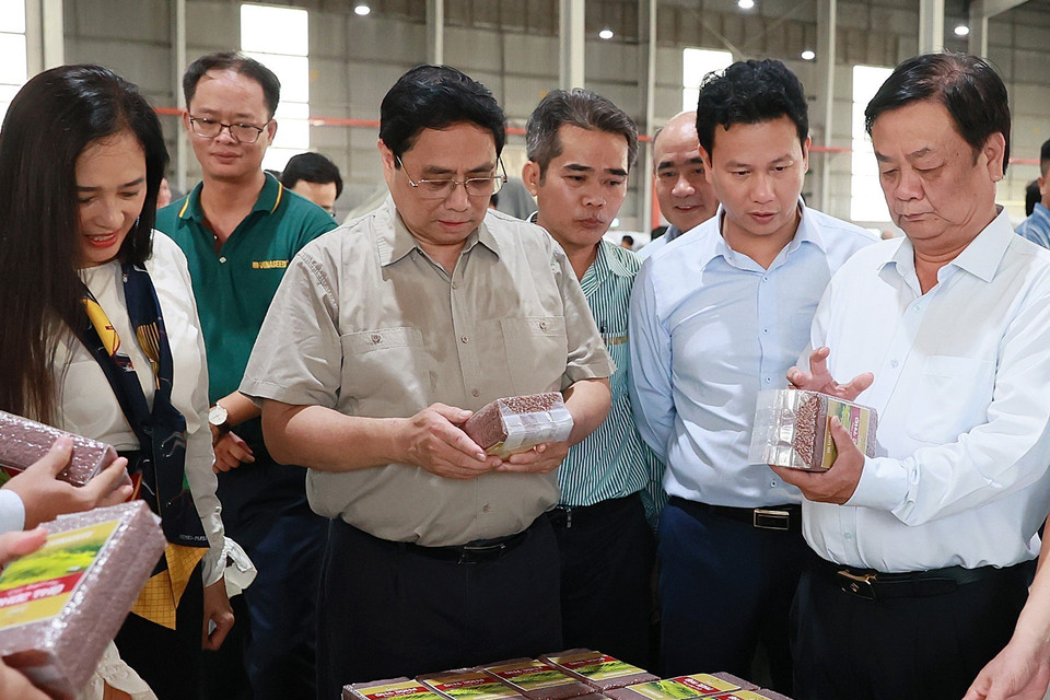 Hình ảnh Thủ tướng Phạm Minh Chính xem sản phẩm gạo xuất khẩu của Nhà máy Chế biến Gạo của Công ty Trách nhiệm hữu hạn Lúa, Gạo Việt Nam. (Ảnh: Dương Giang/TTXVN)