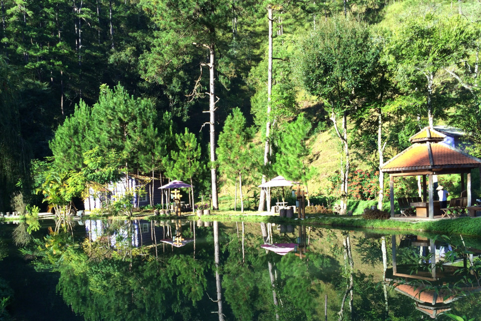 Đà Lạt đẹp trong trẻo và tinh khôi một sớm mai mát lành. (Ảnh: Mai Mai/Vietnam+)