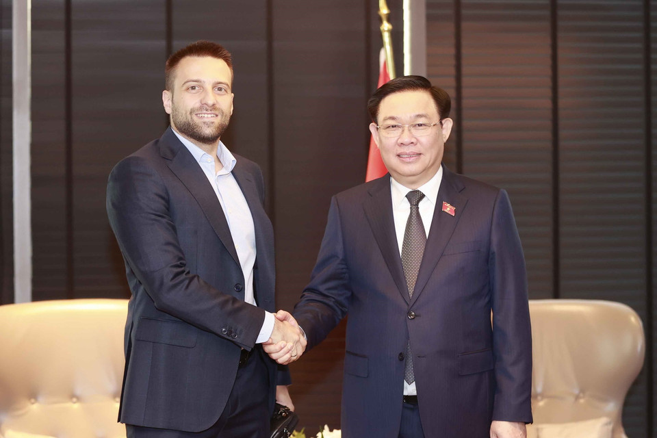 Chủ tịch Quốc hội Vương Đình Huệ tiếp ông Dimitar Naydenov, Giám đốc M&amp;A Tập đoàn Dược phẩm SOPHARMA. (Ảnh: Doãn Tấn/TTXVN)