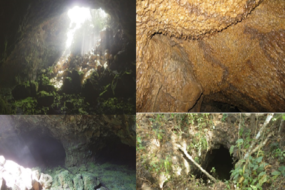 Nhũ đá trên trần, tường hang và nhiều ngã rẽ dẫn vào hang động núi lửa. (Nguồn ảnh: TCĐC-KSVN)