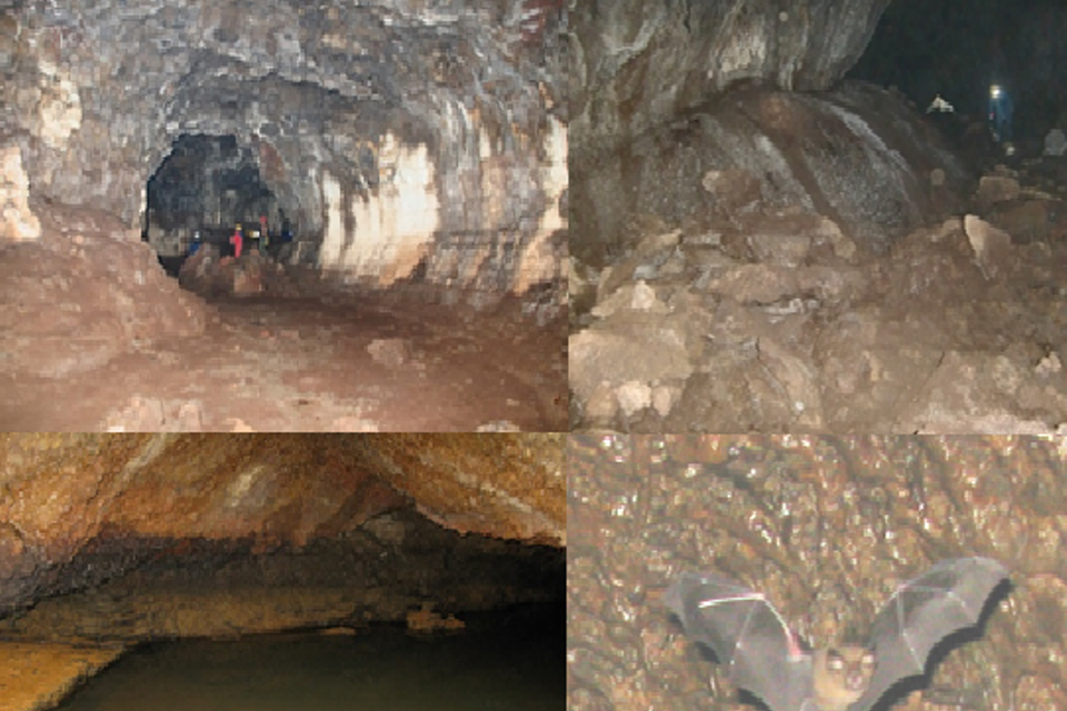 Một phần hang hình ống cong được tạo bởi dòng dung nham và hình ảnh của một hang ngập nước. (Nguồn ảnh: TCĐC-KSVN)