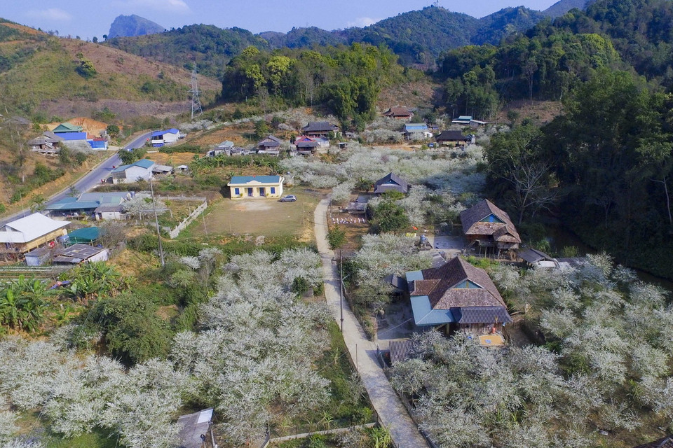 Bản Phiêng Ban nằm bên Quốc lộ 279 dưới chân đèo Tằng Quái nối thành phố Điện Biên Phủ với huyện Mường Ảng. (Ảnh: Xuân Tư/TTXVN)