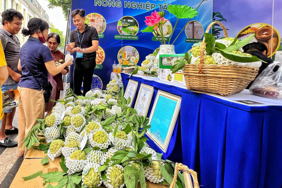 Na trồng trên khu vực núi Bà Đen là một trong những sản phẩm nổi tiếng của Tây Ninh. (Ảnh: Mai Mai/Vietnam+)
