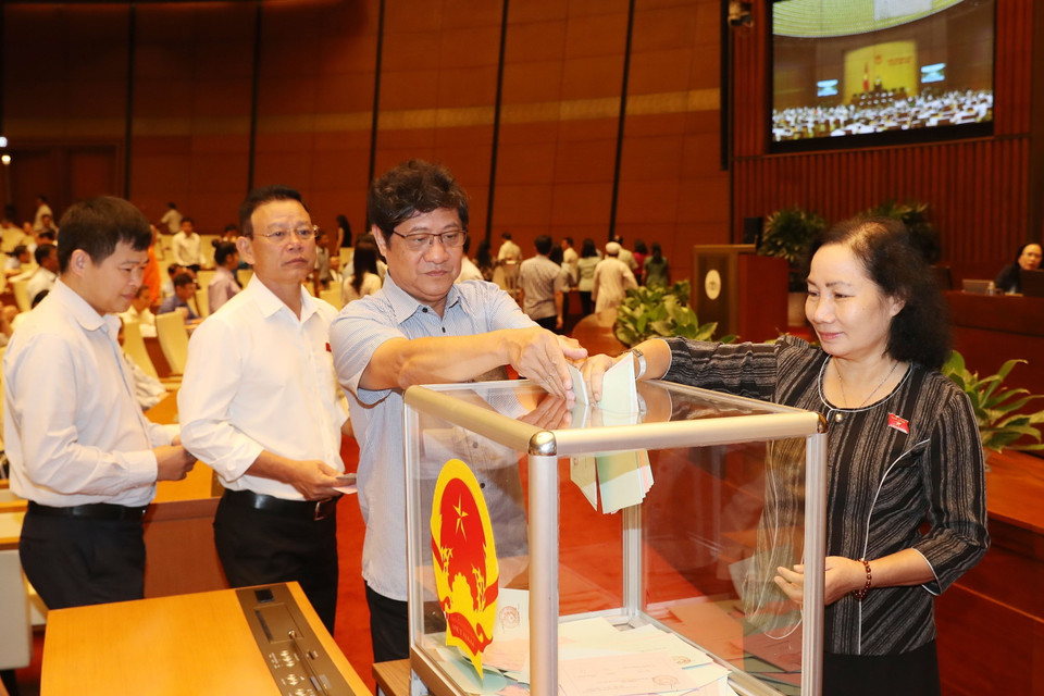 Các đại biểu Quốc hội bỏ phiếu. (Ảnh: Trọng Đức/TTXVN)