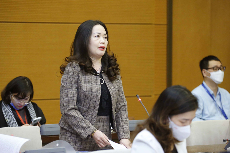 Lãnh đạo Báo Đại biểu Nhân dân phát biểu. (Ảnh: Doãn Tấn/TTXVN)