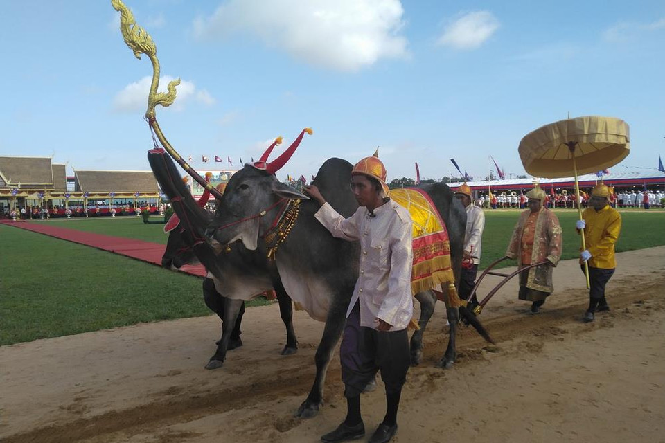 Quang cảnh buổi lễ. (Ảnh: PV/TTXVN)