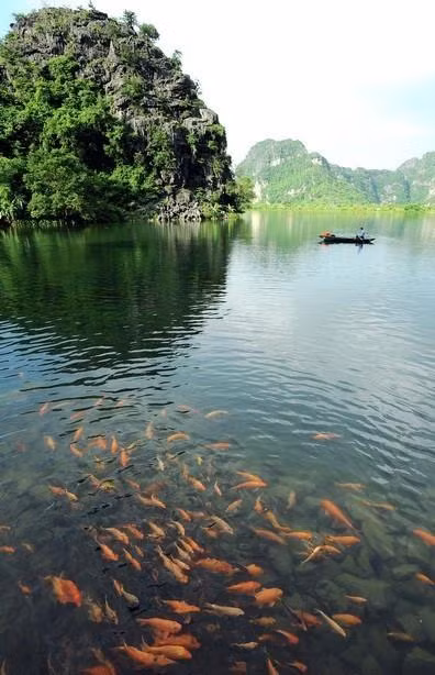 Vẻ đẹp hài hòa của núi đá, sông nước, rừng cây và bầu trời ở Tràng An tạo nên một thế giới tự nhiên sống động đầy quyến rũ và thú vị không nơi nào có được. (Ảnh: Minh Đức/TTXVN)