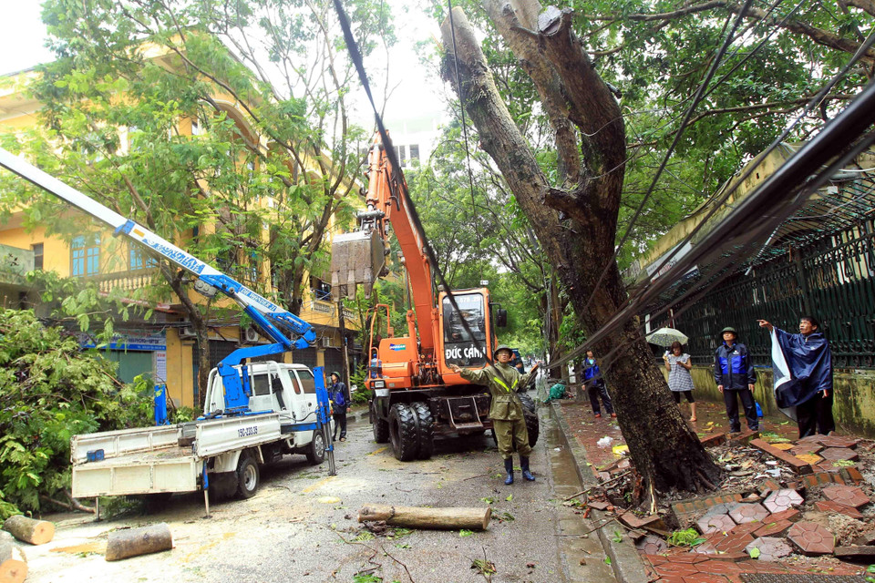 Mưa to, gió giật mạnh sáng 3/8 ở Hải Phòng khiến một số tuyến đường bị ngập cục bộ, nhiều cây xanh bị gãy đổ. (Ảnh: An Đăng/TTXVN)