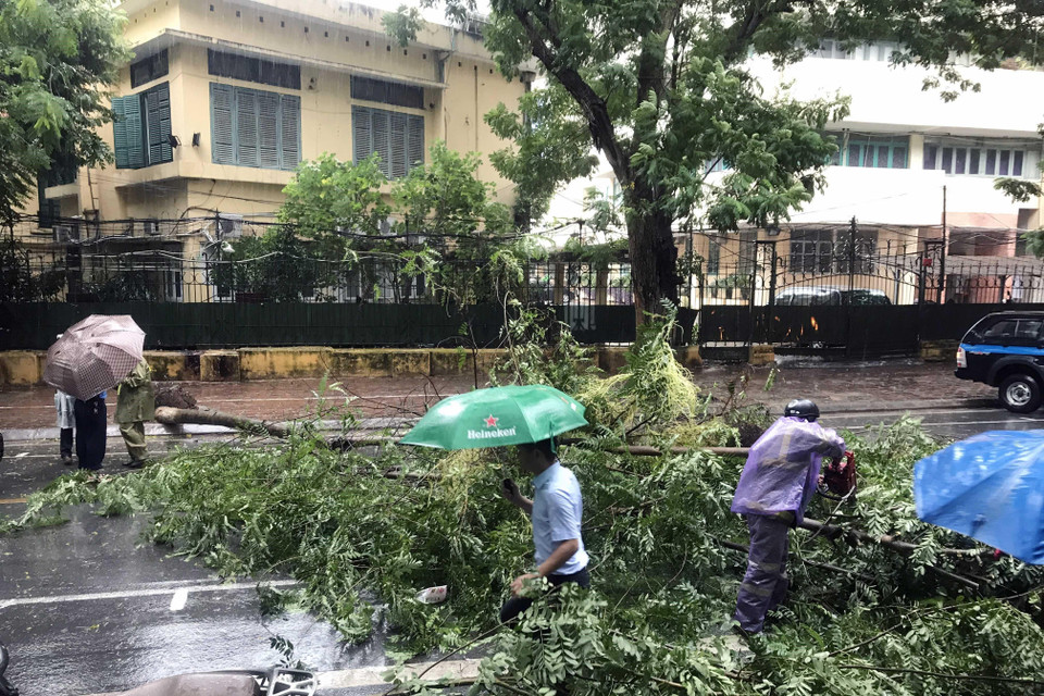 Khu vực nội thành Hà Nội sáng 3/8 có mưa to đến rất to, gây ngập úng cục bộ và gãy đổ cây tại một số tuyến phố. (Ảnh: Minh Quyết/TTXVN)