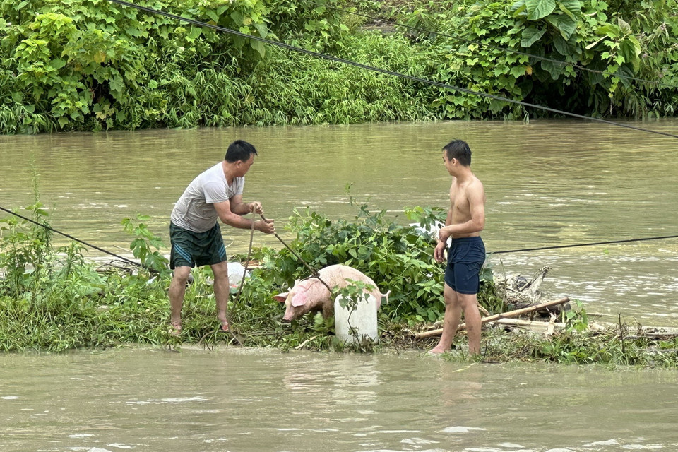 Người dân di dời tài sản. (Ảnh: Quốc Khánh/TTXVN)
