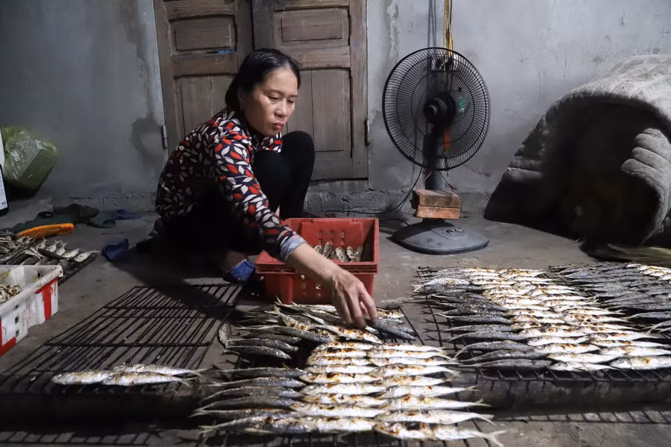 Công đoạn phân loại cá theo kích thước sau khi đã nướng chín, để nguội. Việc làm này sẽ giúp ích rất nhiều khi xếp cá vào các dụng cụ chứa đựng để cất giữ, bảo quản. (Ảnh: Xuân Tiến/TTXVN)