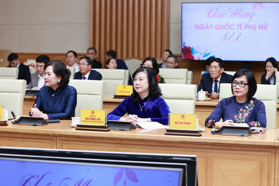  (Ảnh: Dương Giang/TTXVN)