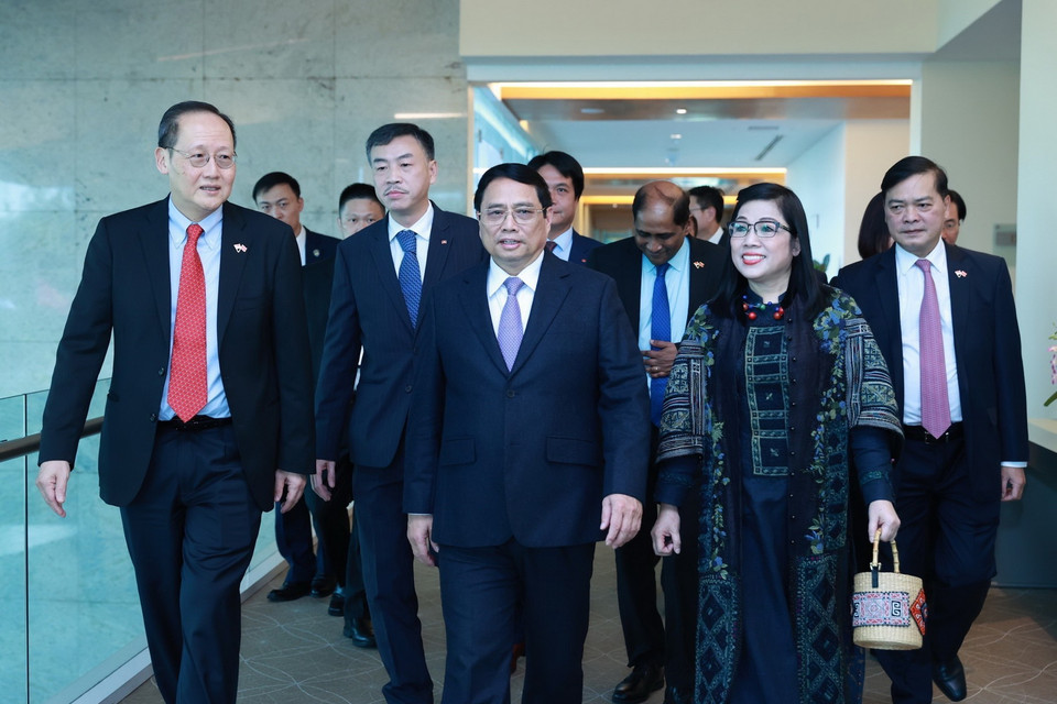 (Ảnh: Dương Giang/TTXVN)