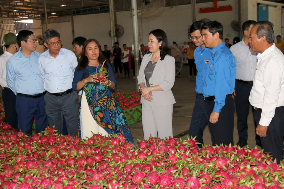 Quyền Chủ tịch nước Võ Thị Ánh Xuân tham quan cơ sở đóng gói thanh long tại huyện Hàm Thuận Bắc, tỉnh Bình Thuận. (Ảnh: Nguyễn Thanh/TTXVN)