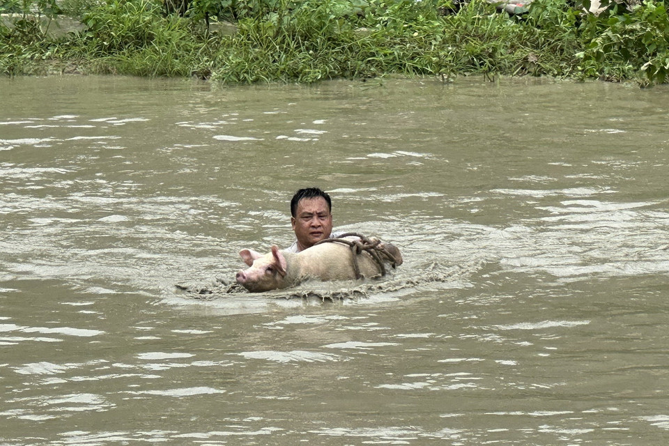Người dân di dời tài sản. (Ảnh: Quốc Khánh/TTXVN)