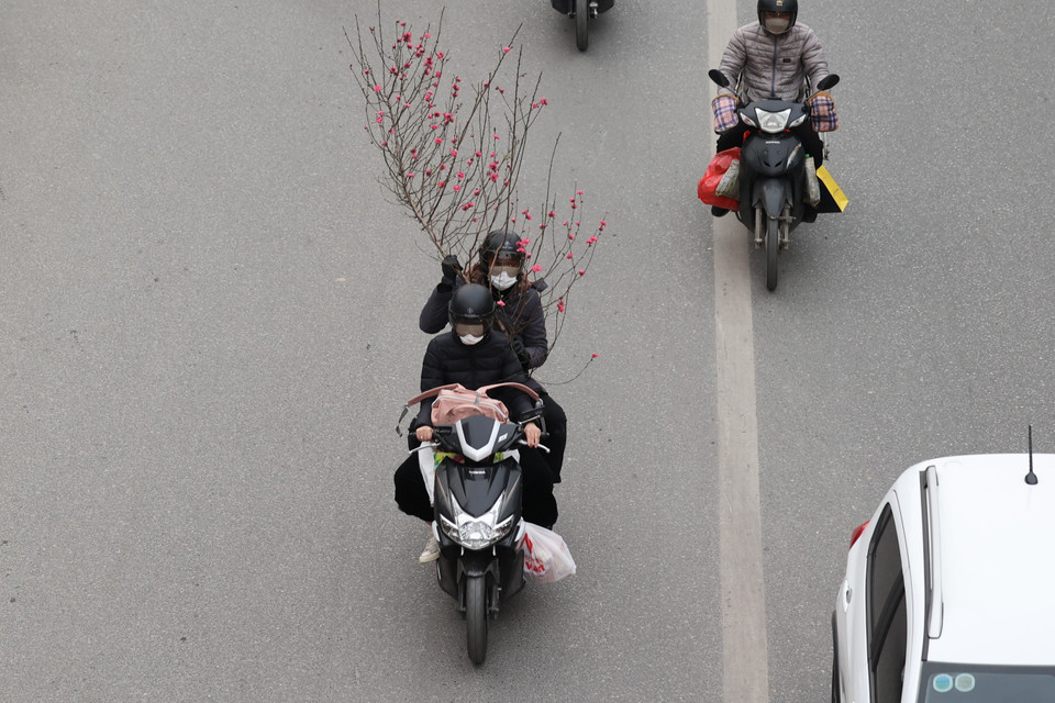 Không khí Xuân ngập tràn các tuyến đường tại Thủ đô trong ngày làm việc cuối cùng trước kỳ nghỉ lễ. (Ảnh: Minh Sơn/Vietnam+)