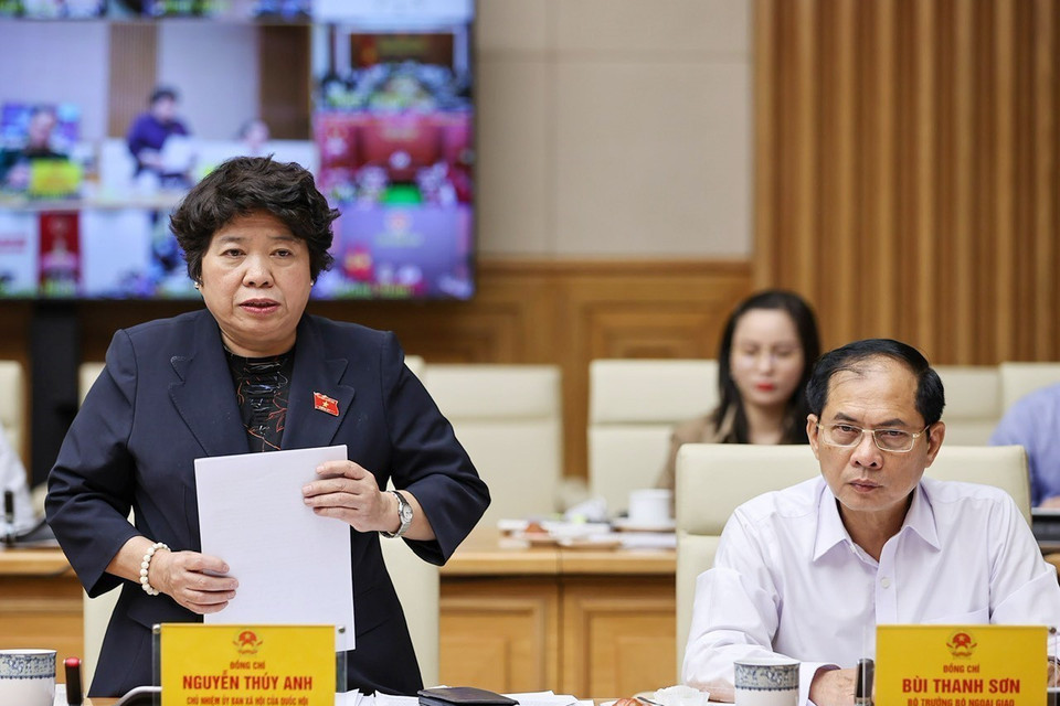 Chủ nhiệm Ủy ban Xã hội của Quốc hội Nguyễn Thúy Anh phát biểu. (Ảnh: Dương Giang/TTXVN)