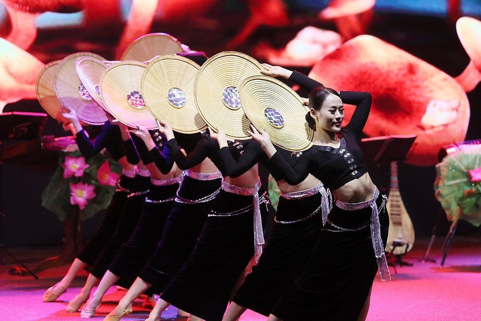 Chương trình giao lưu văn hóa nghệ thuật Việt Nam-Brazil. (Ảnh: Dương Giang/TTXVN)