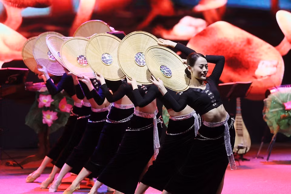 Chương trình giao lưu văn hóa nghệ thuật Việt Nam-Brazil. (Ảnh: Dương Giang/TTXVN)