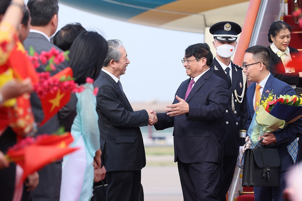 (Ảnh: Dương Giang/TTXVN)