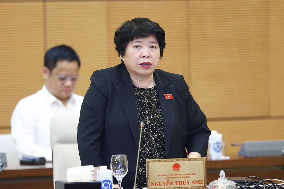 Chủ nhiệm Ủy ban Xã hội của Quốc hội Nguyễn Thúy Anh phát biểu. (Ảnh: Doãn Tấn/TTXVN)