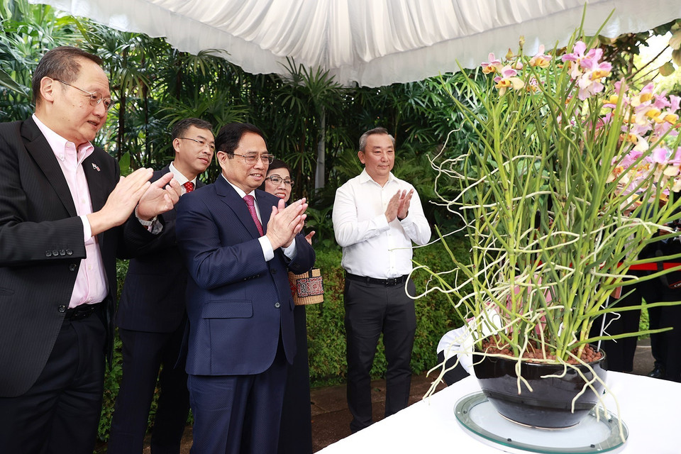 Thủ tướng Phạm Minh Chính và Phu nhân gắn biển tên cho cây hoa lan mang tên Phạm Lê Trân Chính. (Ảnh: Dương Giang/TTXVN)