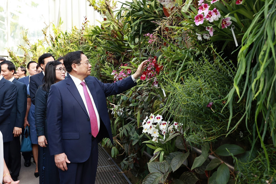 Thủ tướng Phạm Minh Chính và Phu nhân tham quan Vườn Thực vật Singapore (Botanic Garden). (Ảnh: Dương Giang/TTXVN)