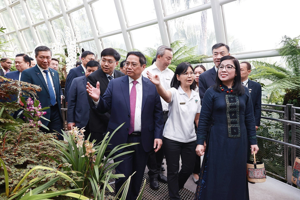 (Ảnh: Dương Giang/TTXVN)